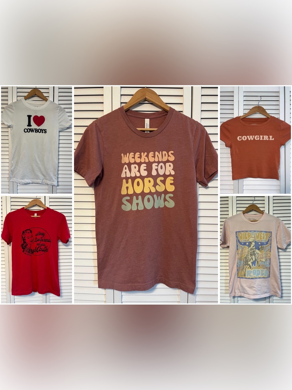 (5) Rodeo/Horse Show t-shirts